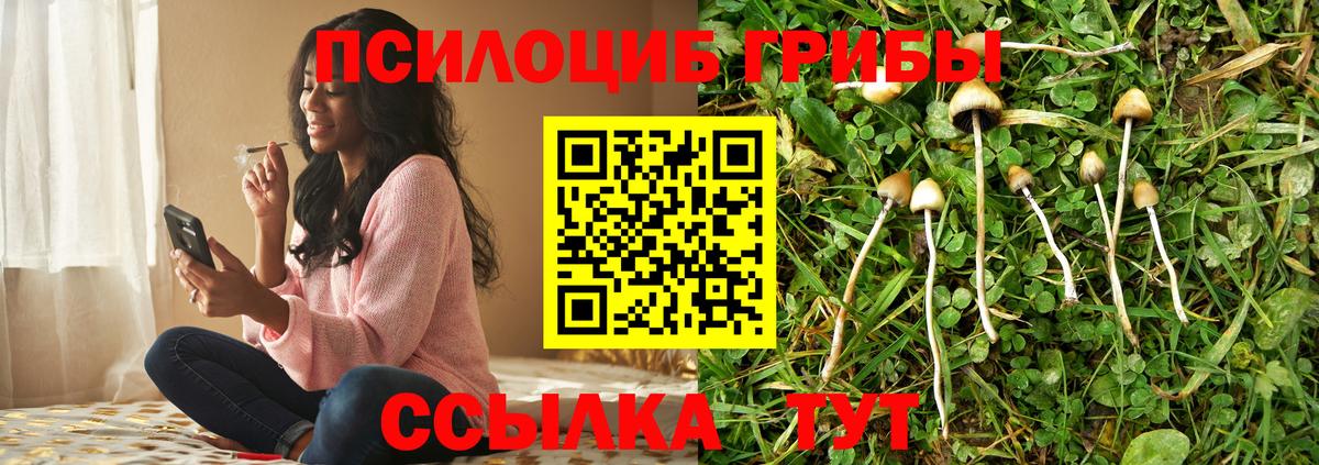 Галлюциногенные грибы мицелий  Галлюциногенные грибы GOLDEN TEACHER  Раменское  Вход с VPN 
