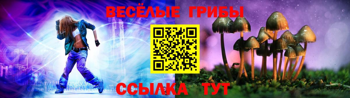 Галлюциногенные грибы GOLDEN TEACHER Раменское